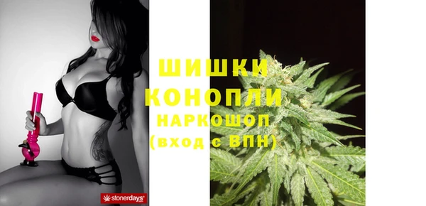 mdpv Краснослободск