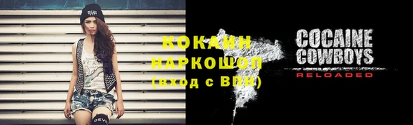 соль ск Алексин