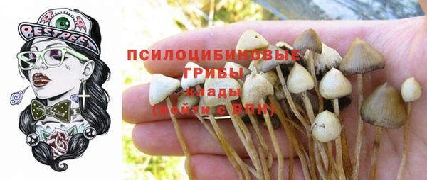 амф Красноперекопск