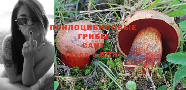 mdpv Краснослободск