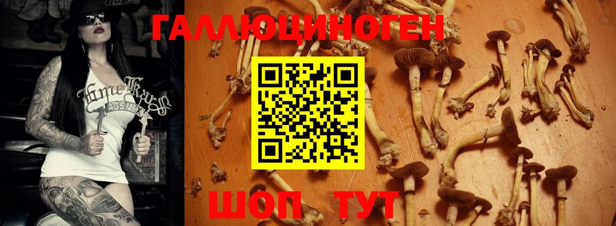 Псилоцибиновые грибы ЛСД Брянск