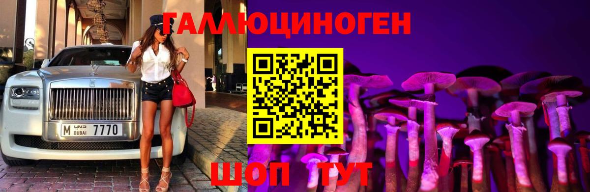 Брянск  Псилоцибиновые грибы Cubensis  Вход с VPN  Псилоцибиновые грибы ЛСД 