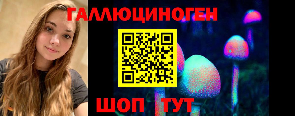 Псилоцибиновые грибы Psilocybe  Псилоцибиновые грибы MAGIC MUSHROOMS  Брянск 