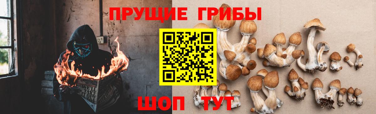 Псилоцибиновые грибы мухоморы Брянск